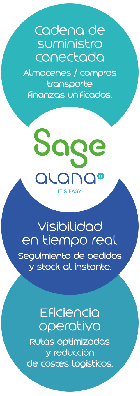 erp logistica grafico
